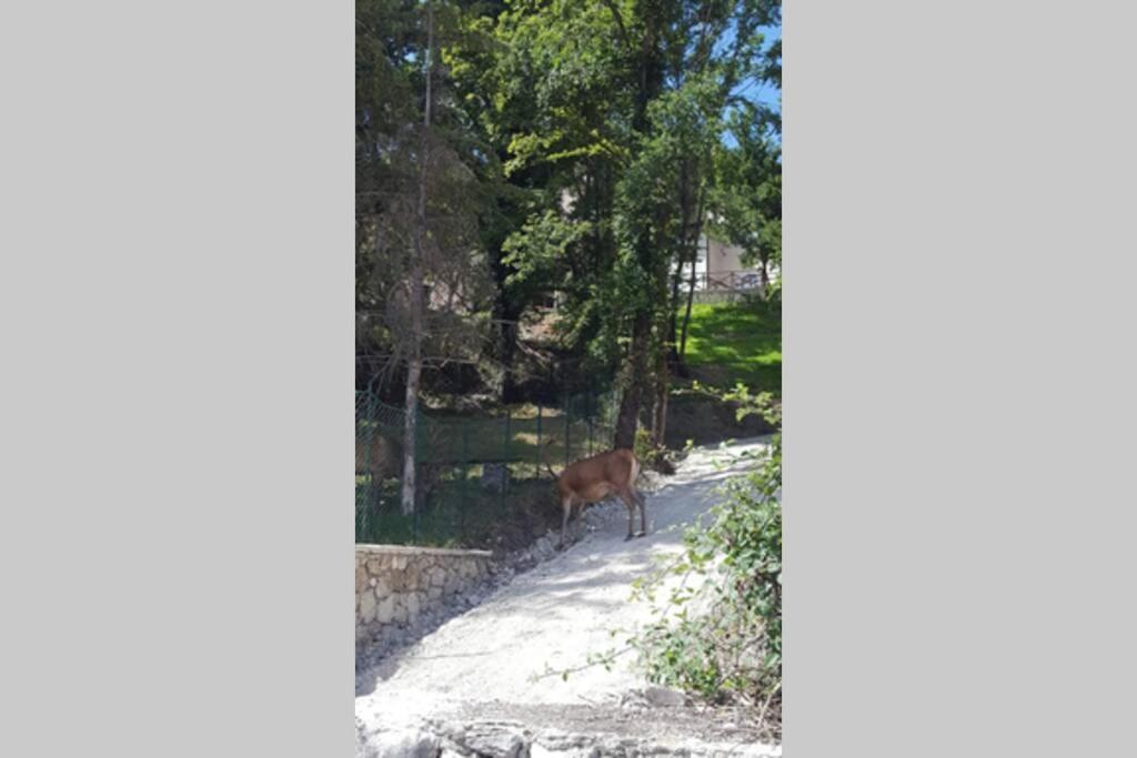 Casa Vacanze Al Castello Villetta Barrea Dış mekan fotoğraf
