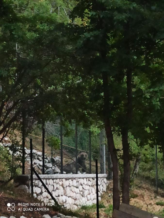 Casa Vacanze Al Castello Villetta Barrea Dış mekan fotoğraf