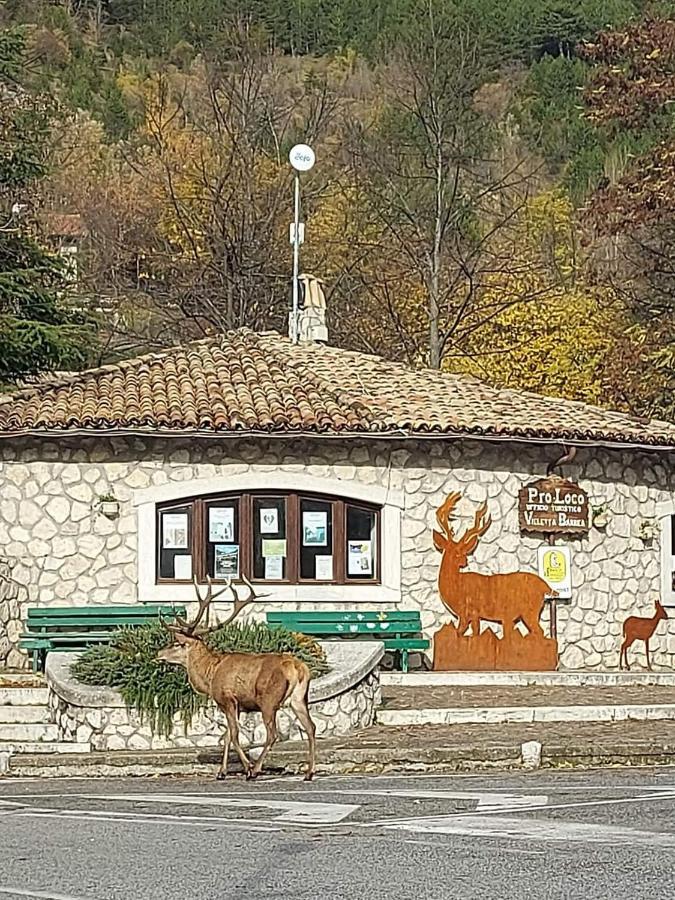 Casa Vacanze Al Castello Villetta Barrea Dış mekan fotoğraf